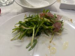 -沪碟·精菜坊(闵行店)
