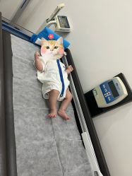 -唯儿诺儿童医院·儿科·眼科·口腔(金桥店)
