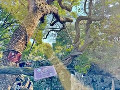 -绮园景区