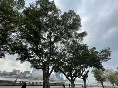 -洲头咀公园