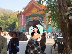 -西双版纳原始森林公园