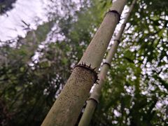 -太阳湾风景区