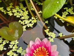 -狼山风景名胜区