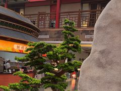 -老山东·山东菜(鲁菜名店)