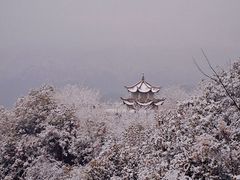 -四明山国家森林公园