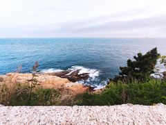 -小麦岛公园
