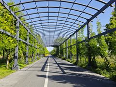 -泗洪洪泽湖湿地景区