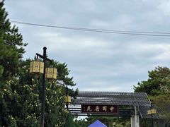 -中国唐苑