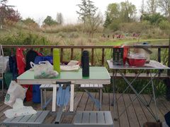 -桤木河湿地公园