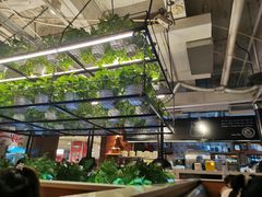 -猫爪爪原切自助烤肉(观音桥阳光世纪店)