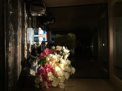 碧桂园空港凤凰酒店-碧桂园空港凤凰酒店(广州新白云机场店)