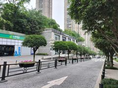 -重庆市江北嘴中央商务区中央公园