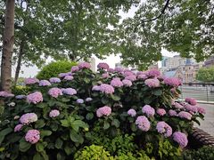 -北外滩滨江绿地