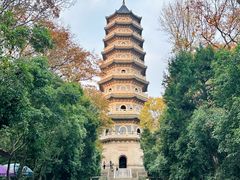 -灵谷景区