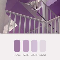 -六月嫁期婚礼(旗舰店)