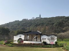 -苏州上方山国家森林公园