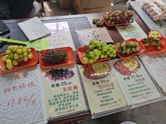 -马陆小张葡萄园农家乐