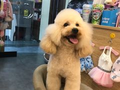 -e嘉宠物店(北大街店)