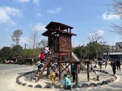 -成飞公园
