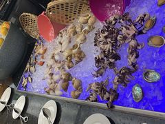-赛瑞喜来登大酒店-盛宴自助餐厅