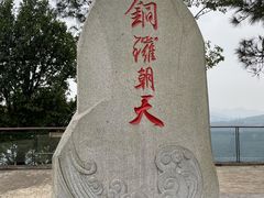 -铁山坪森林公园