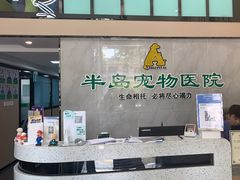 -半岛宠物医院24小时(科华中路店)