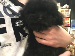 -喜狗宠物生活馆(岳州路店)