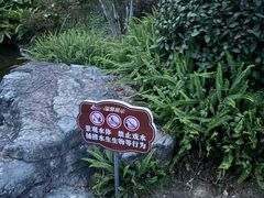 -铁山坪森林公园