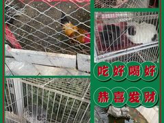 -双新垂钓园