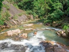 -广州白江湖森林公园