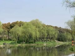 -新江湾城公园
