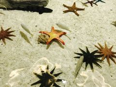 -福州罗源湾海洋世界旅游区