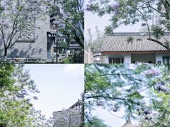 -龙潭水乡