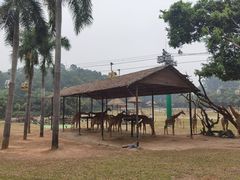 -广州长隆国际大马戏