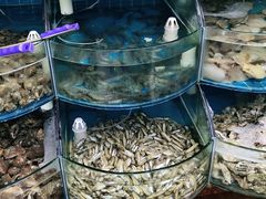 水产区-同道蒸汽海鲜烧烤自助(刘庄夜市店)