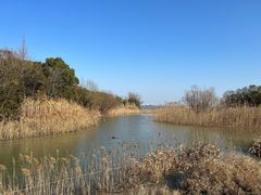 -上海吴淞炮台湾国家湿地公园