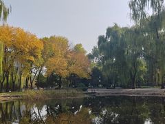 -玲珑塔公园