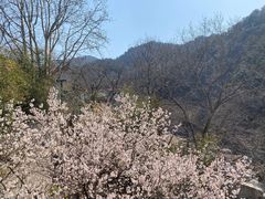 -崂山九水游览区