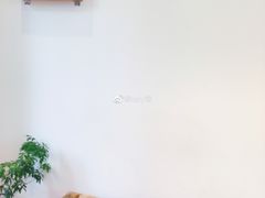 -椿风·养身茶饮(吉大店)