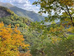 -五女峰国家森林公园