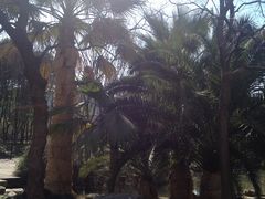 -苏州河梦清园环保主题公园