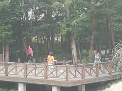 -桤木河湿地公园