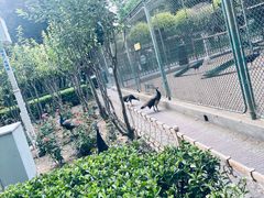 -保定市动物园