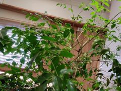 -七色云蔬食(喜邻里店)