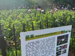 -国家植物园南园