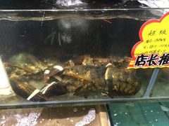 -蚝专家(北滘店)