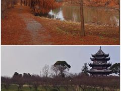 -上海海湾国家森林公园