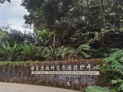 -深圳仙湖植物园