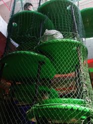 -恐龙探索乐园(磁器口店)