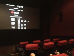 VIP厅-万达影城(洛阳万达广场IMAX激光店)